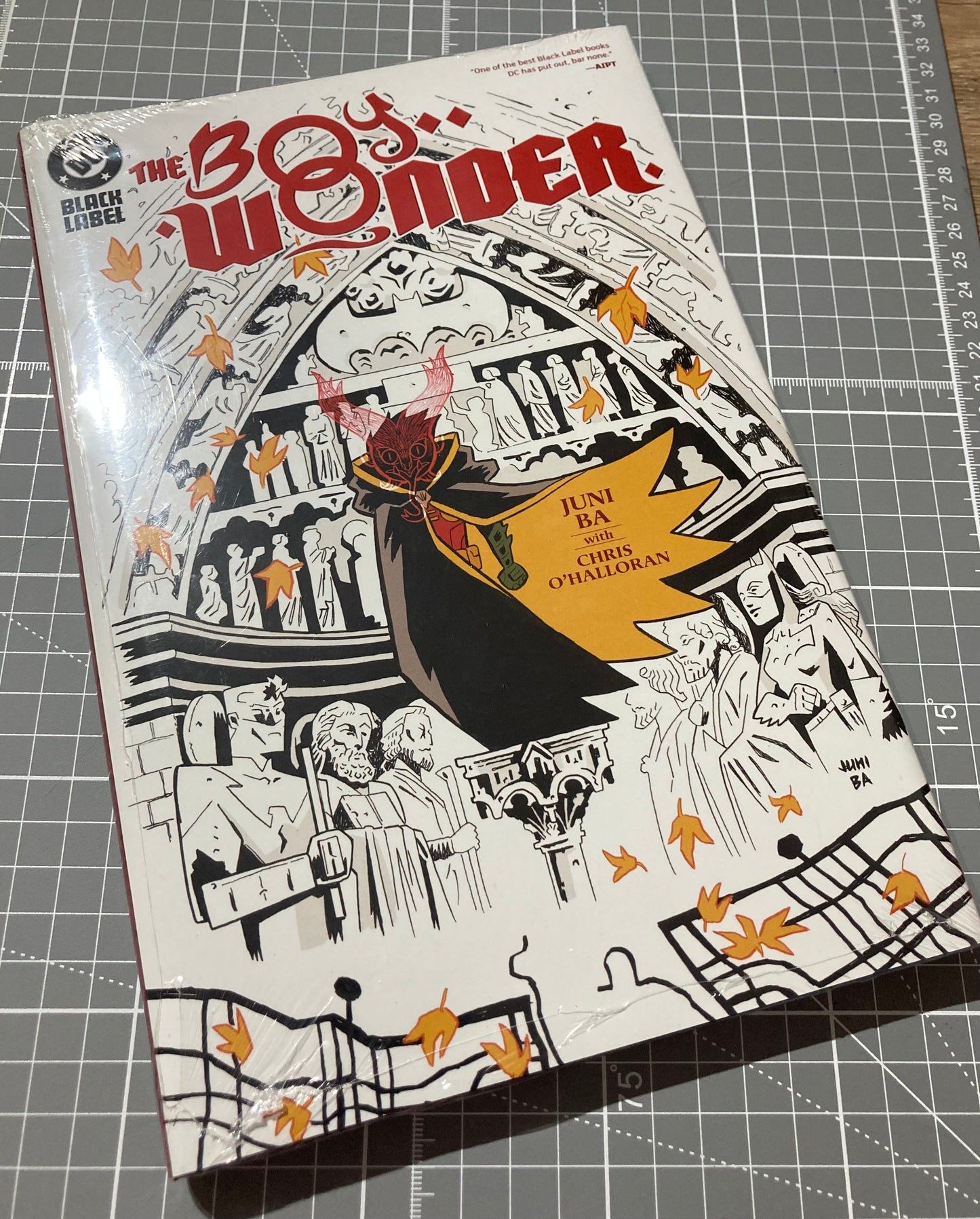 The Boy Wonder Hardcover