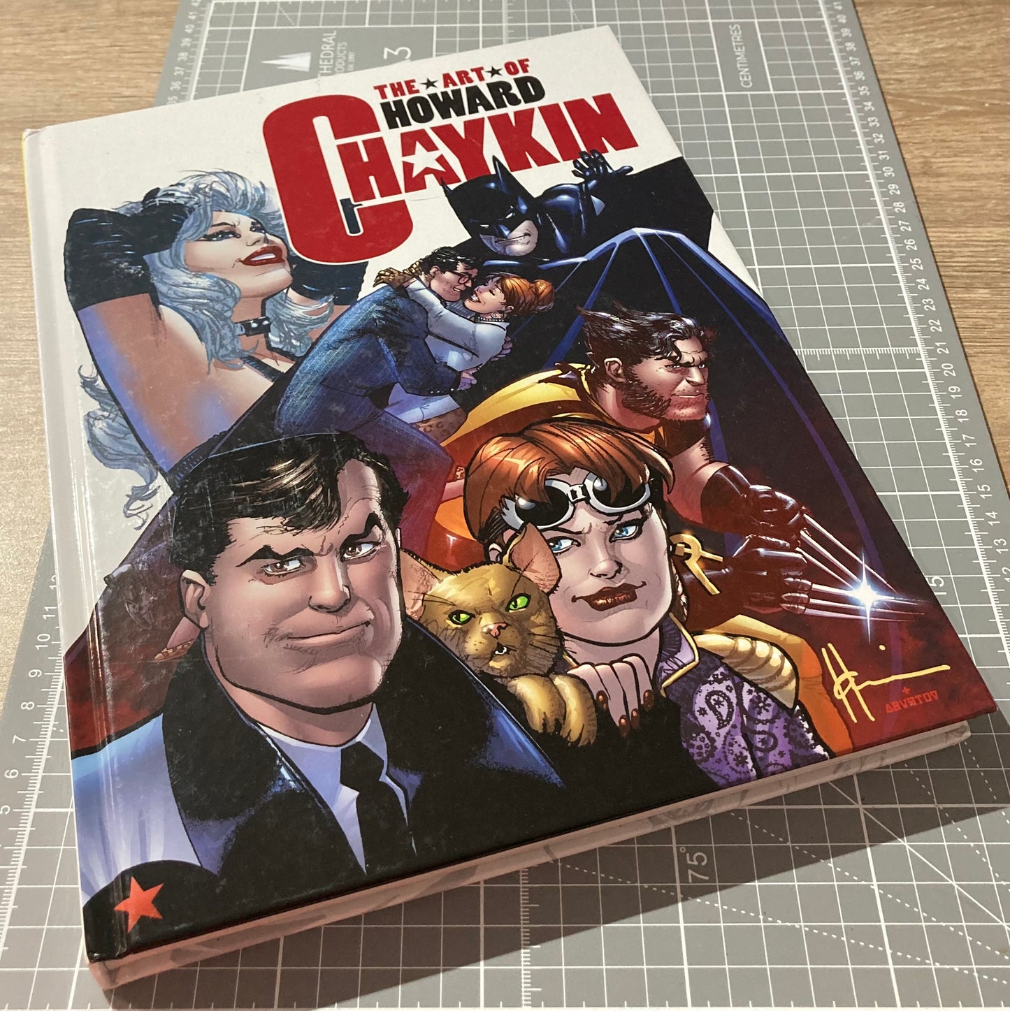 The Art of Howard Chaykin HC