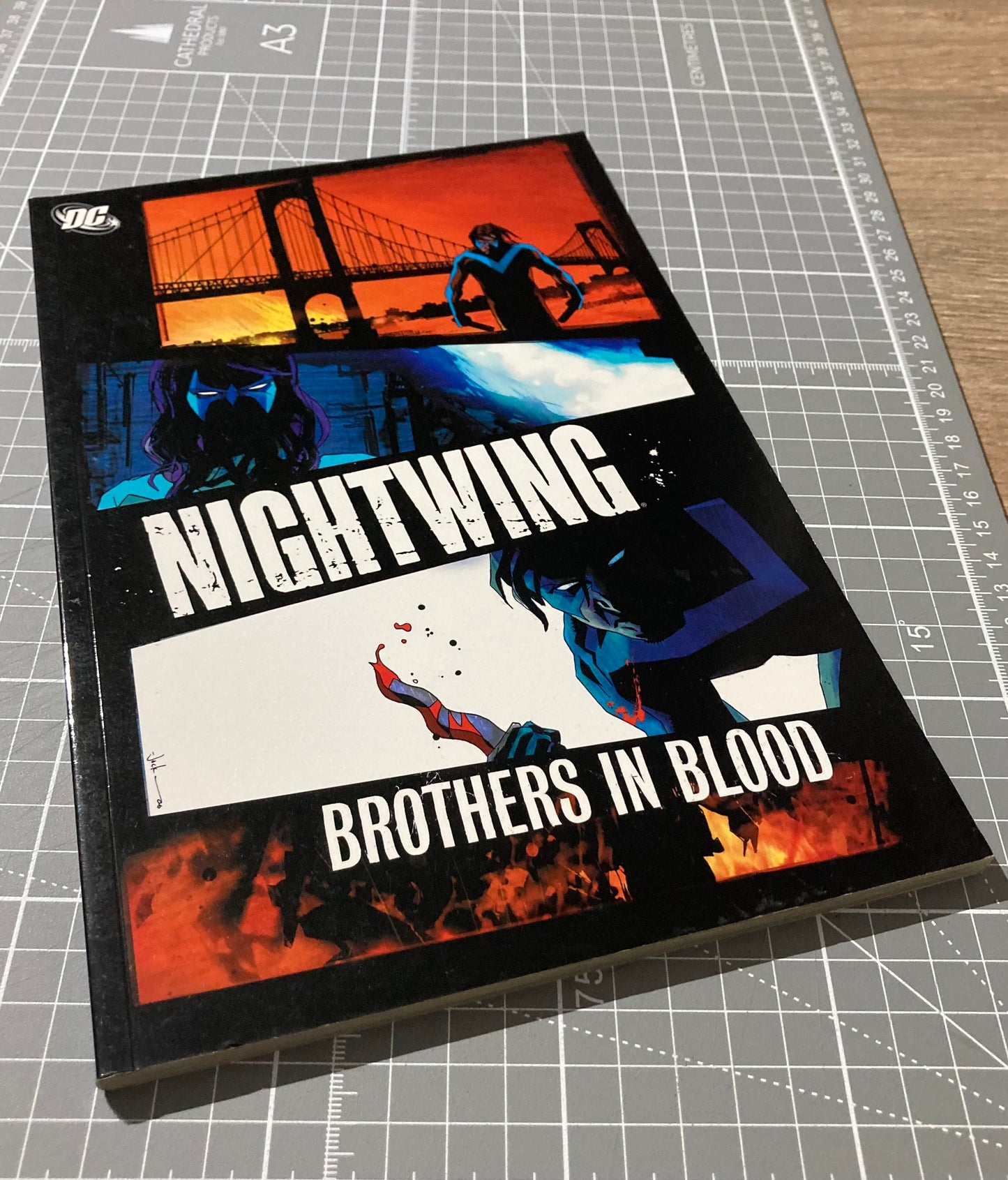 Nightwing: Brothers in Blood TPB