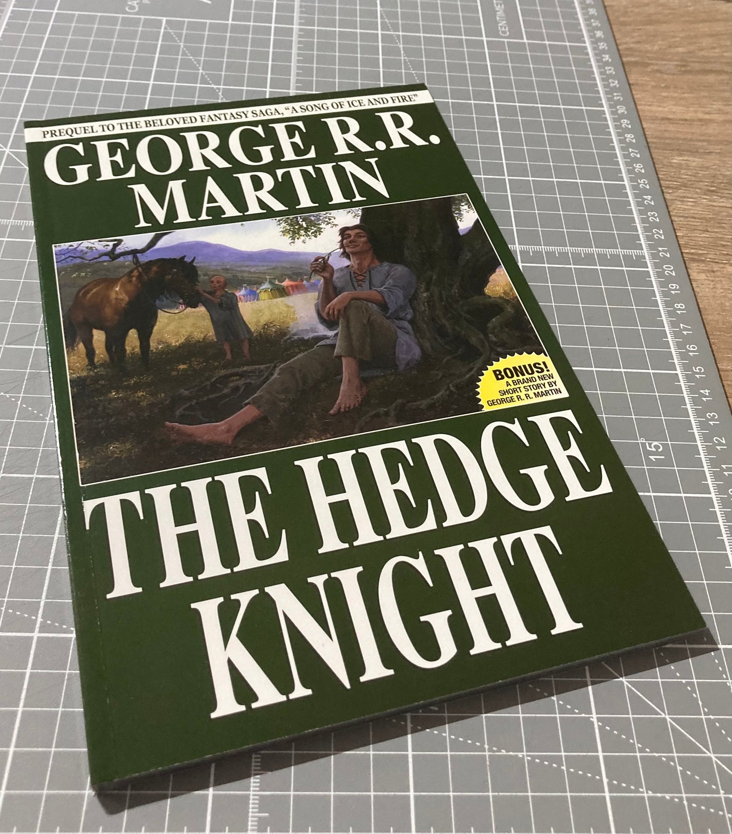 George R. R. Martin’s The Hedge Knight TPB