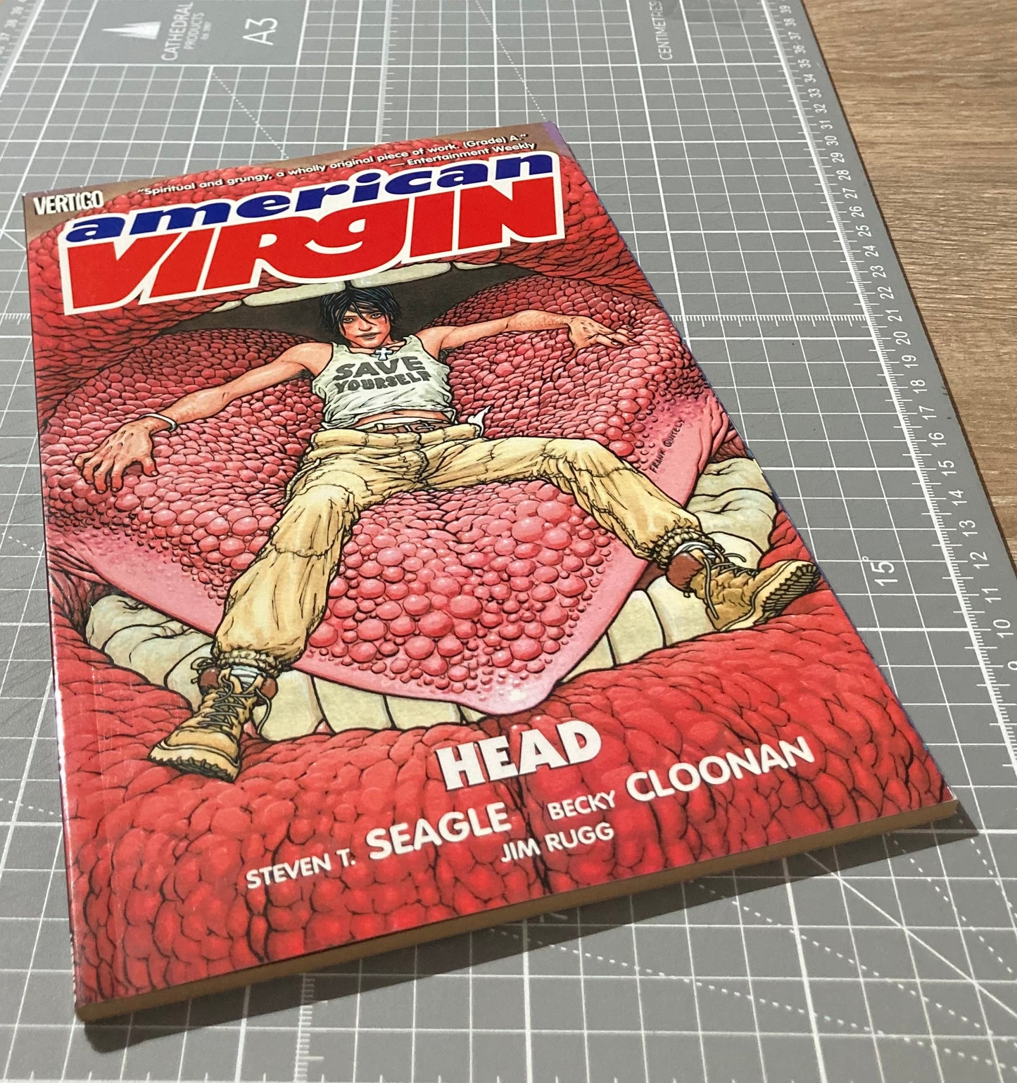 American Virgin: Head TPB