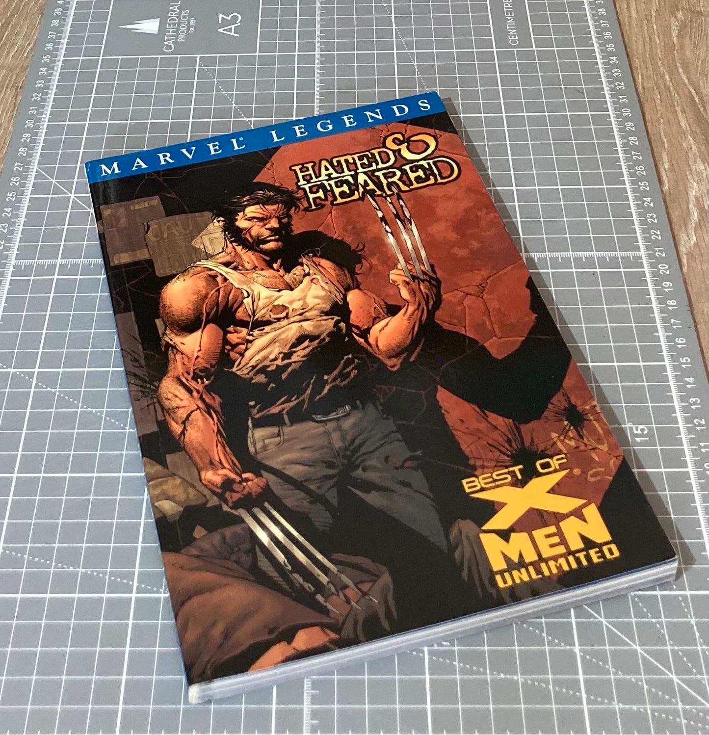 X-Men Legends Volume 4: Hated & Feared - Best of X Men Unlimited TPB