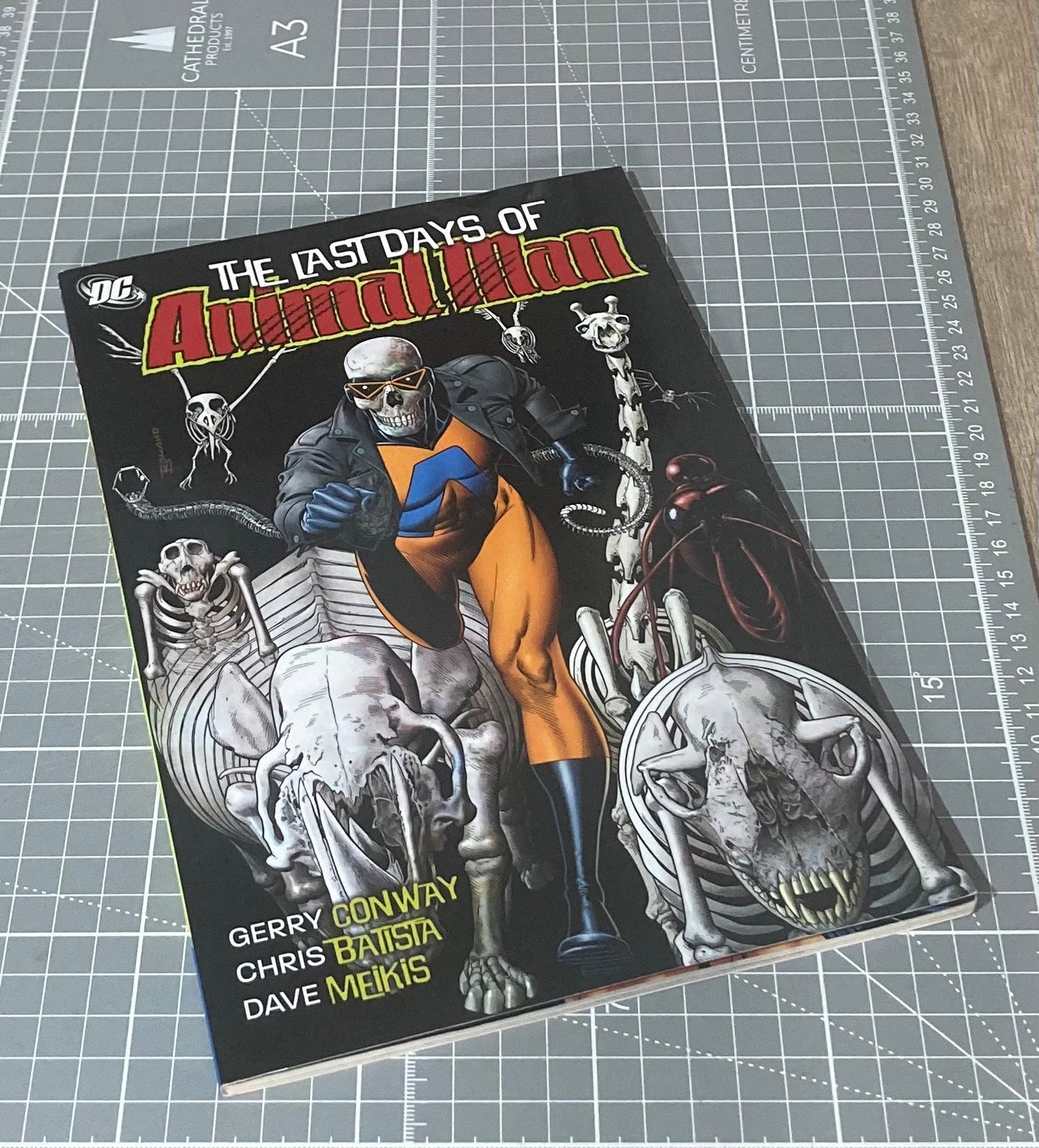 The Last Days of Animal Man TPB