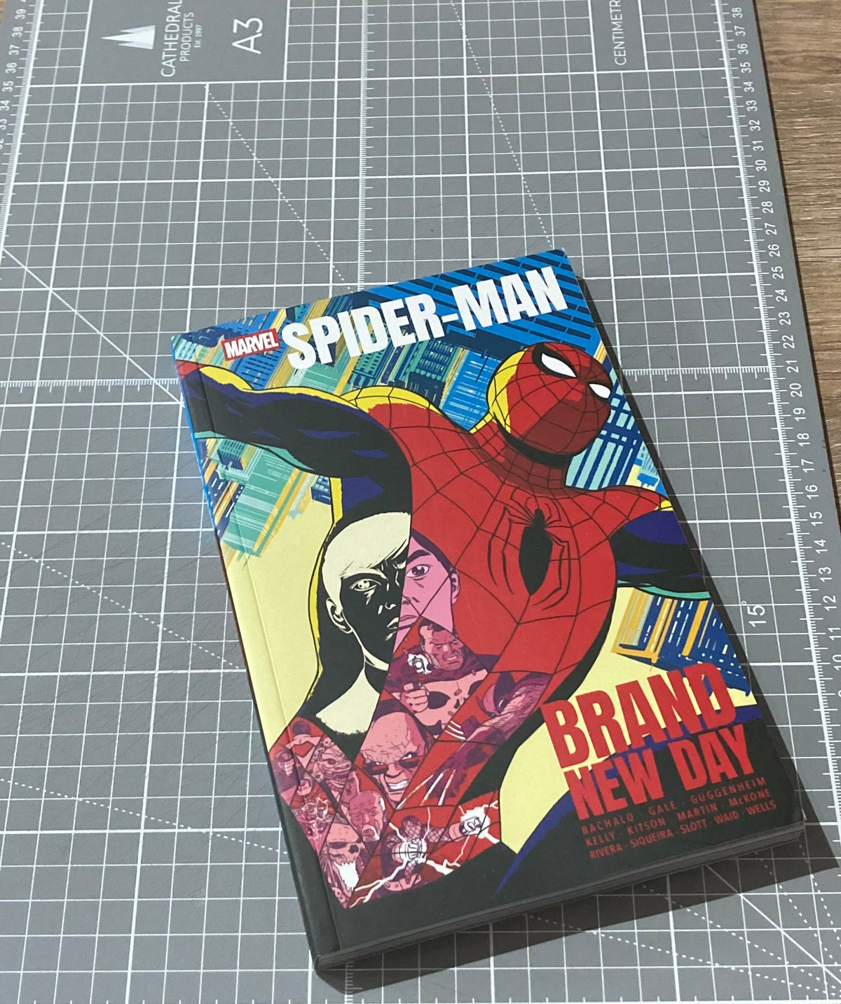 Spider-Man: Brand New Day (Small Format) TPB