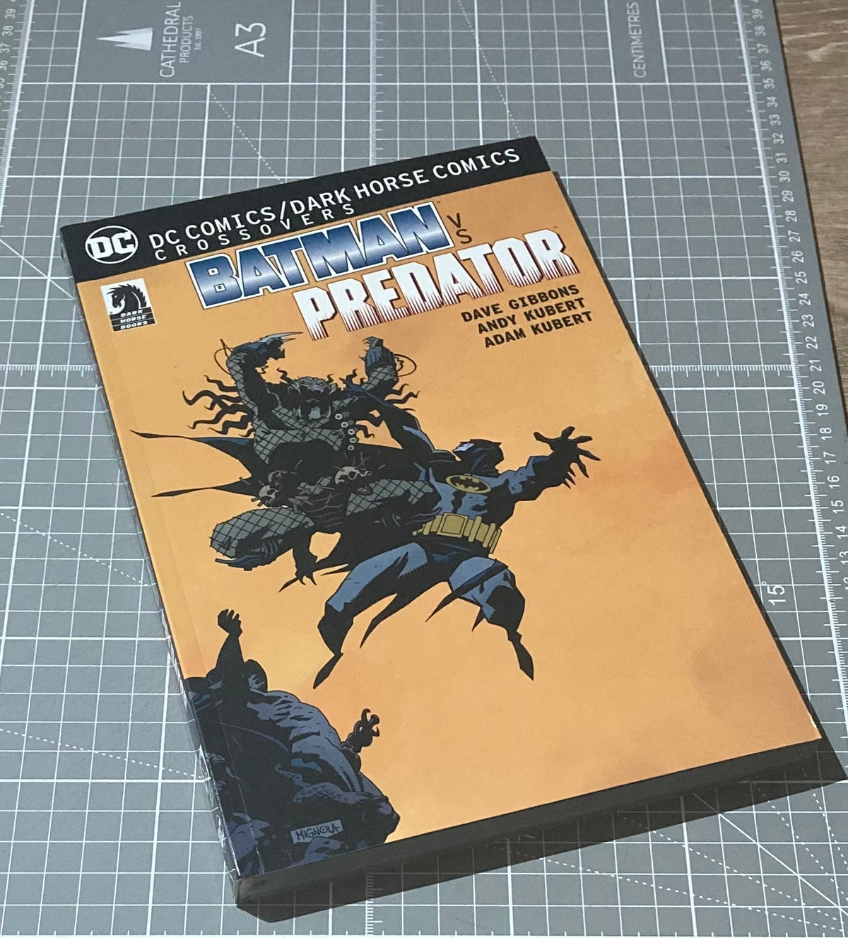DC Comics Dark Horse Batman Vs Predator TPB