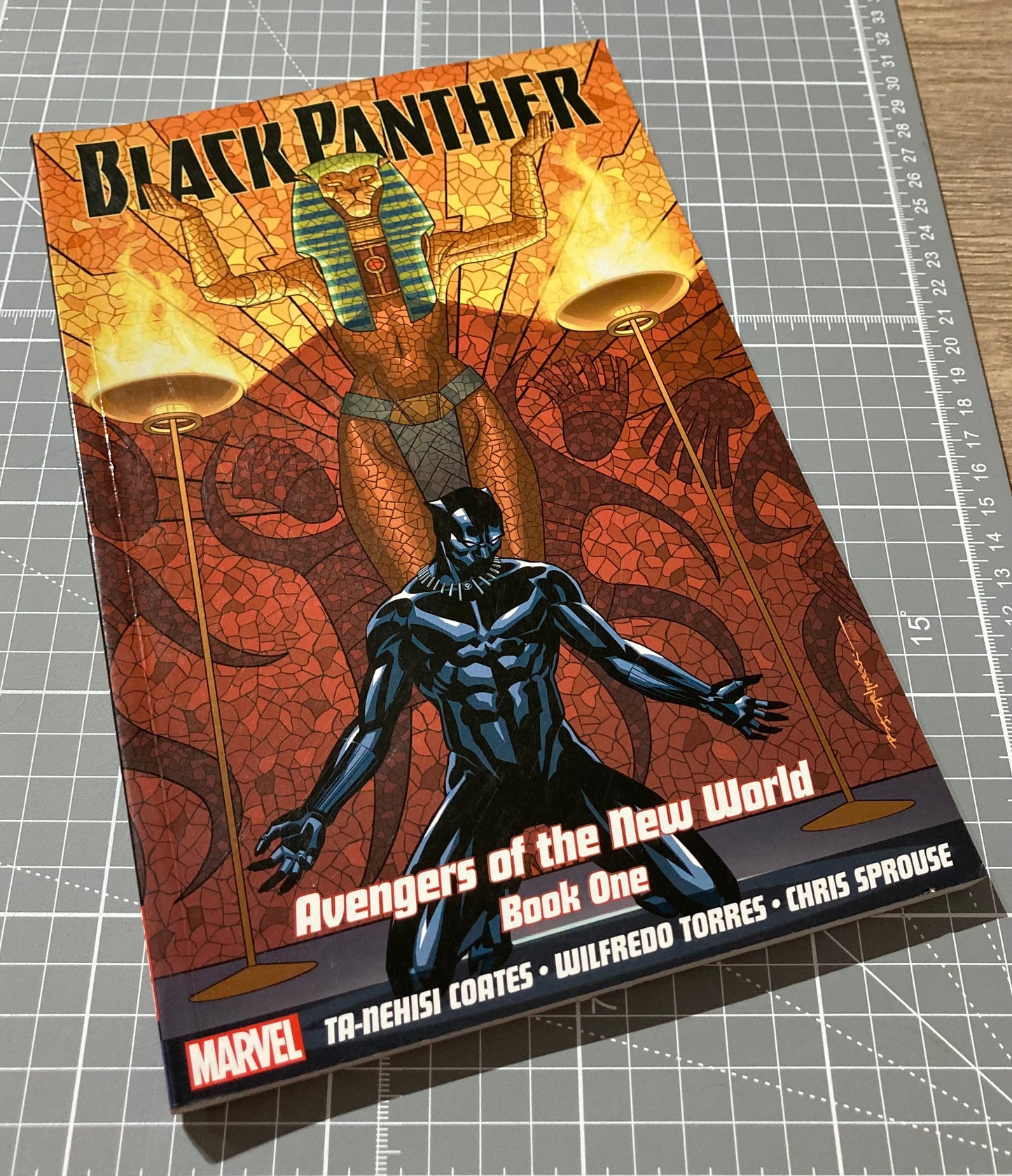 Black Panther: Avengers of the New World - Book One TPB Panini Edition (SALE).