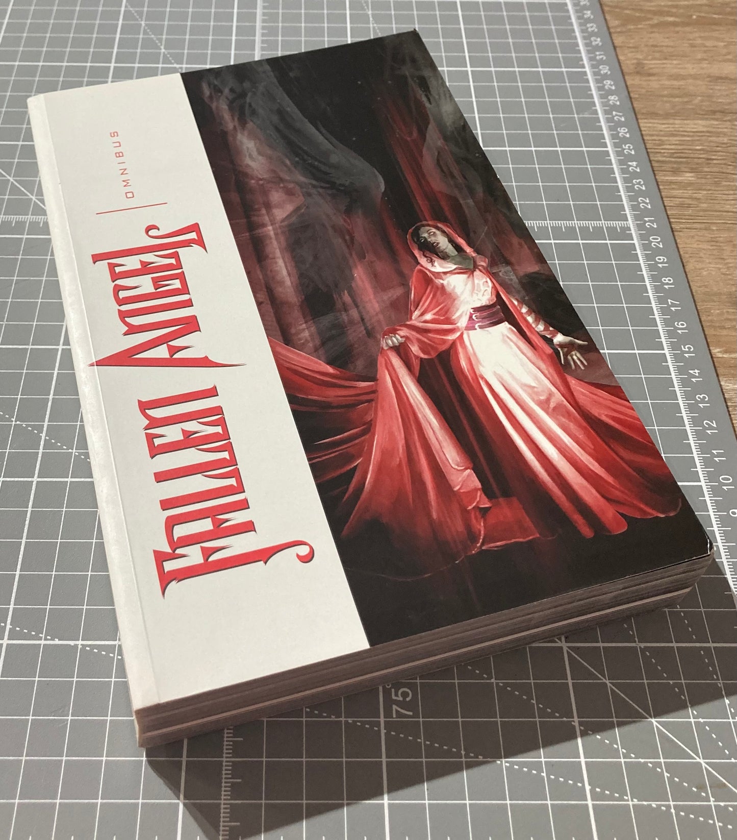 Fallen Angel Omnibus (IDW 2009 Printing) TPB