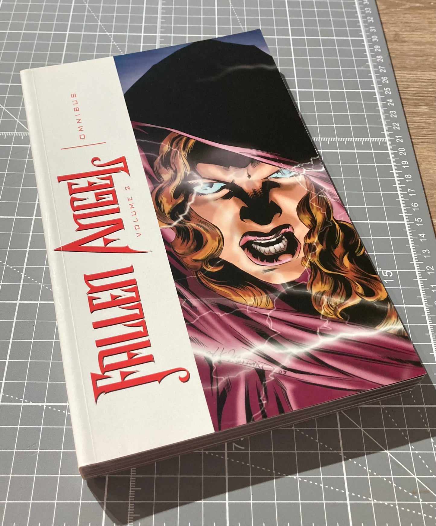 Fallen Angel Omnibus: Volume 2 (2011 IDW Edition) TPB