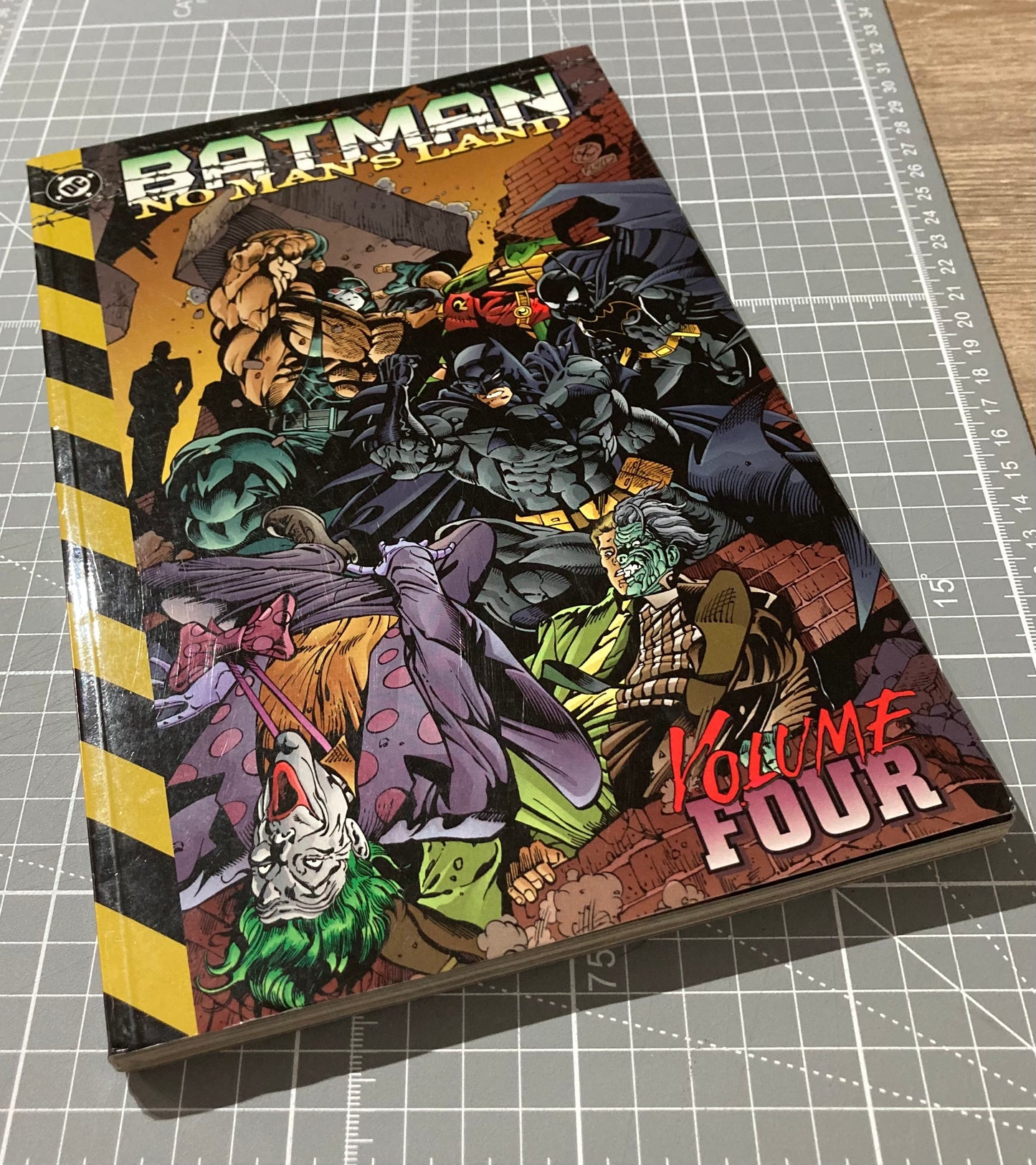 Batman: No Man's Land Vol. 4 TPB