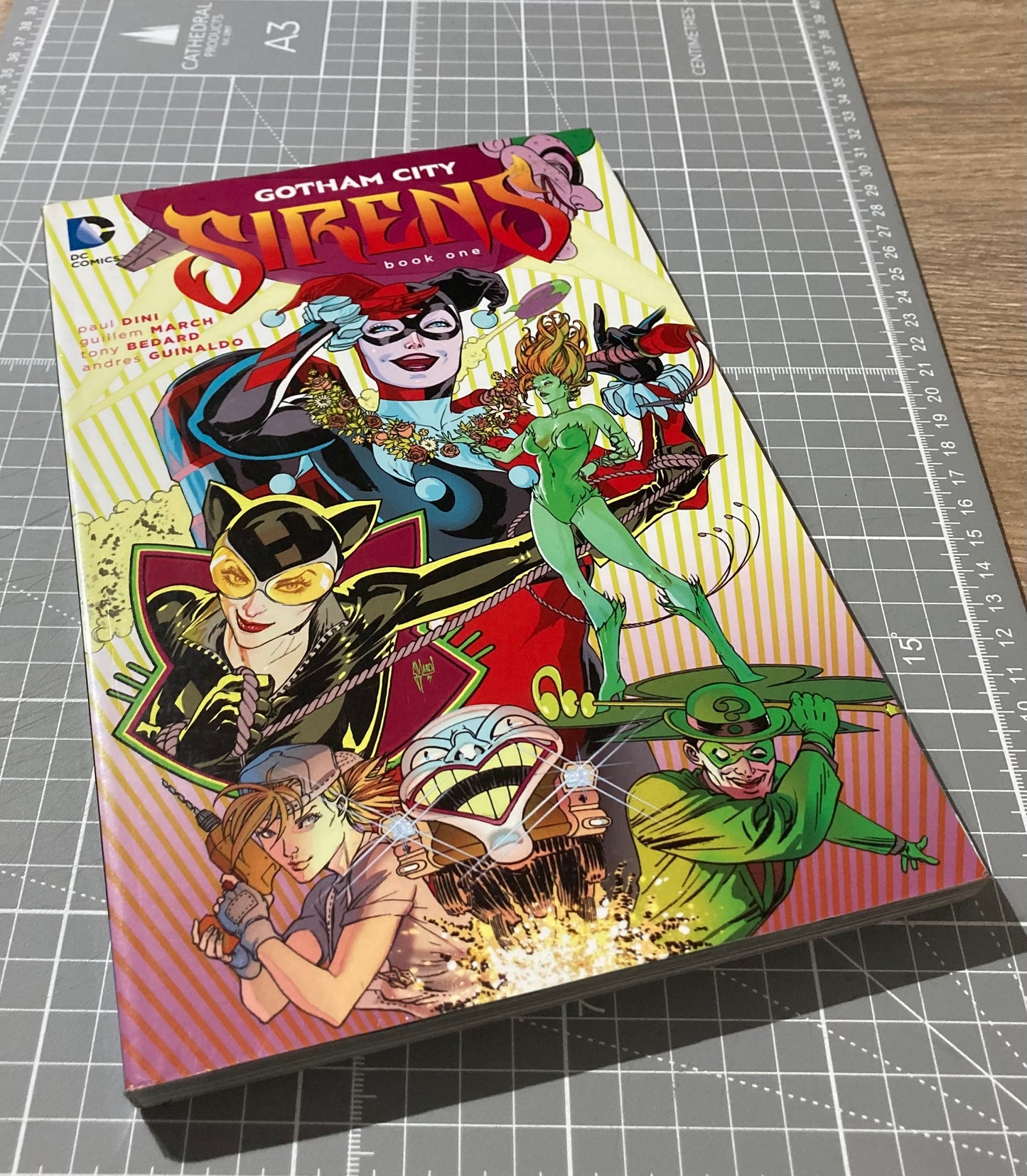 Gotham City Sirens: Book One TPB