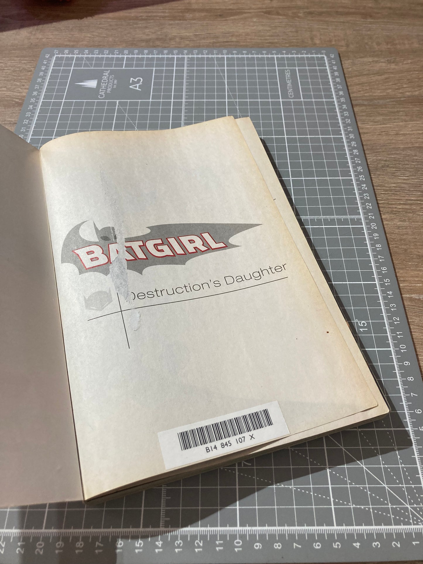 Batgirl: Destruction's Daughter TPB