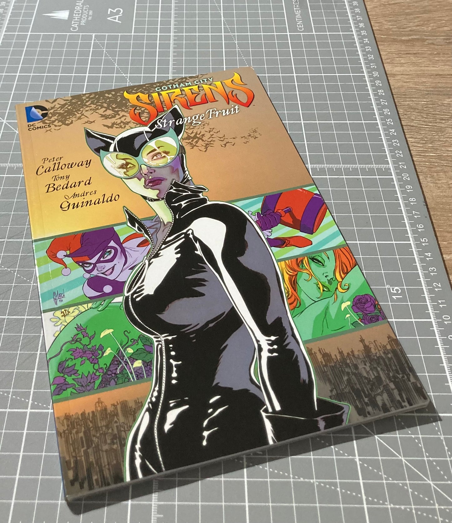 Gotham City Sirens: Strange Fruit TPB