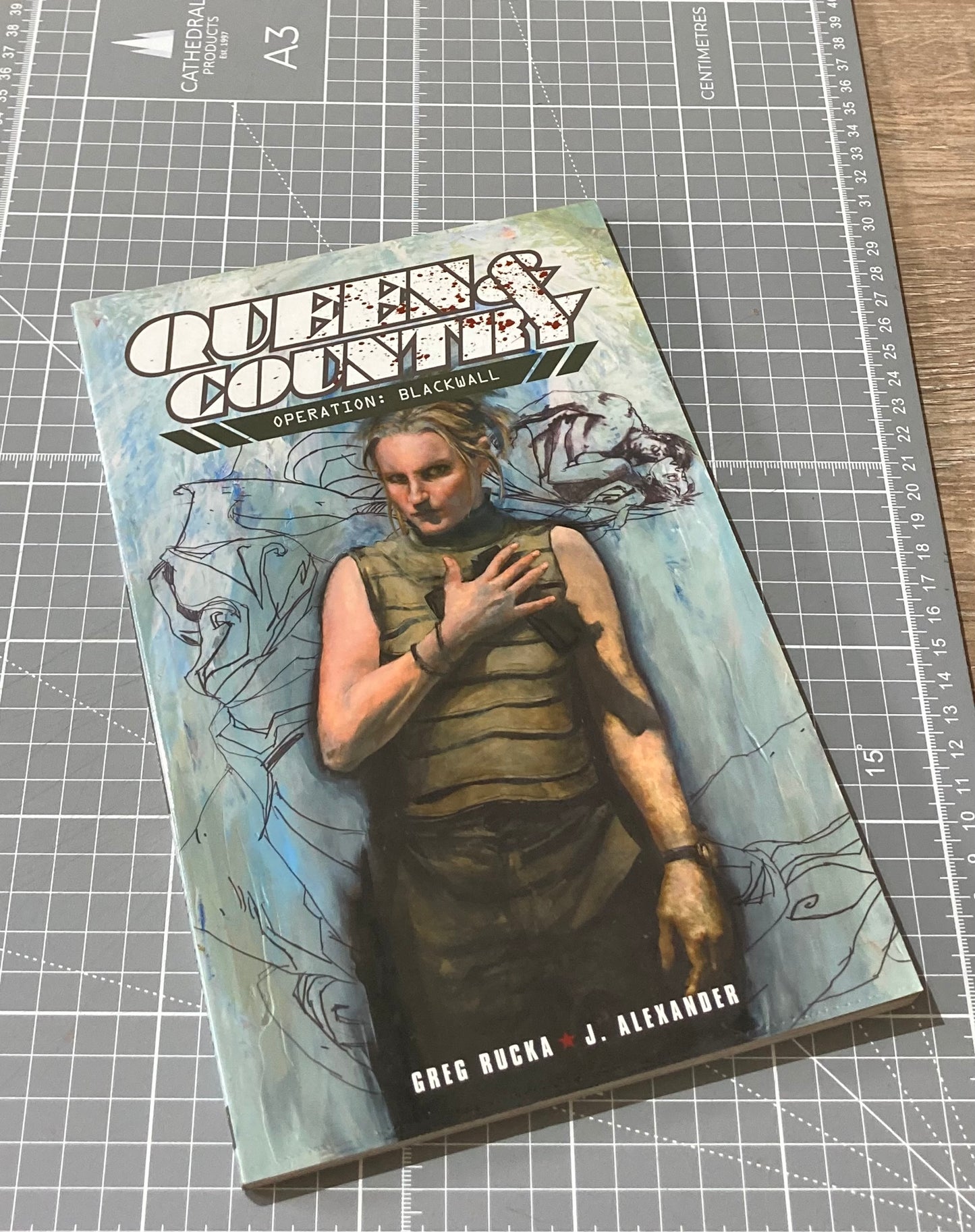 Queen & Country Vol. 4: Operation Blackwall TPB