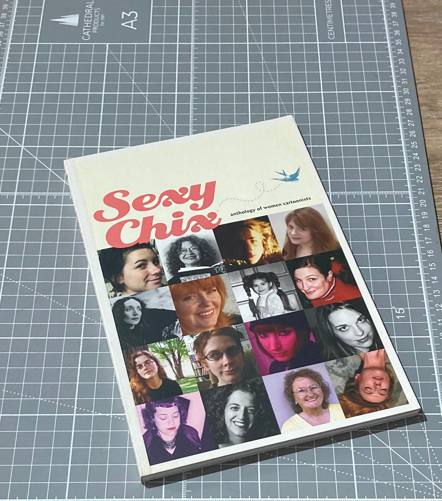 Sexy Chix TPB