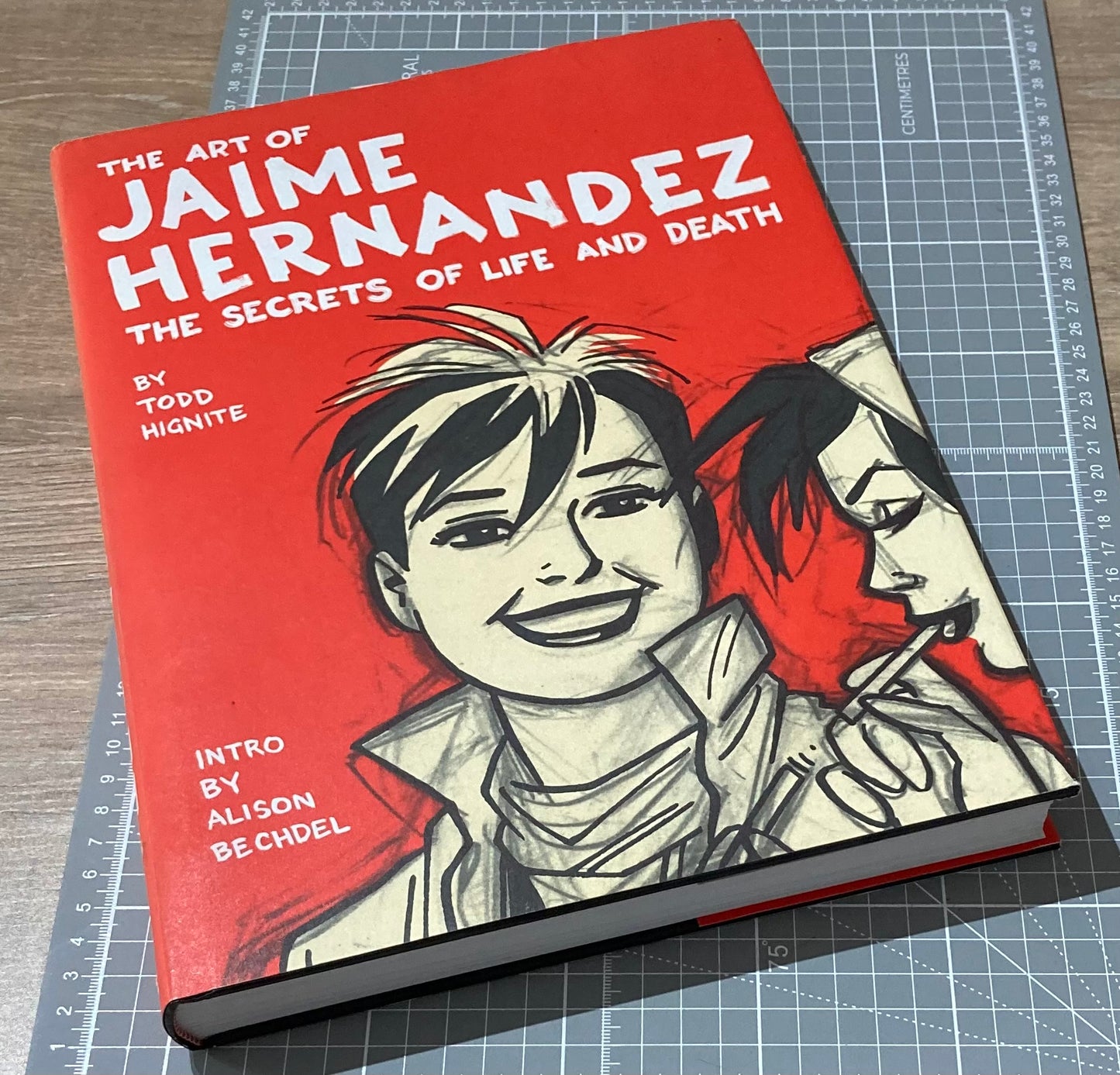 The Art of Jaime Hernandez: The Secrets of Life and Death HC