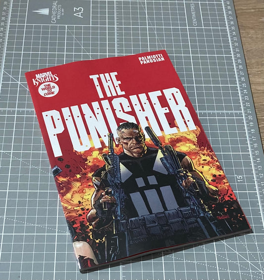 Marvel Knights: The Punisher TPB