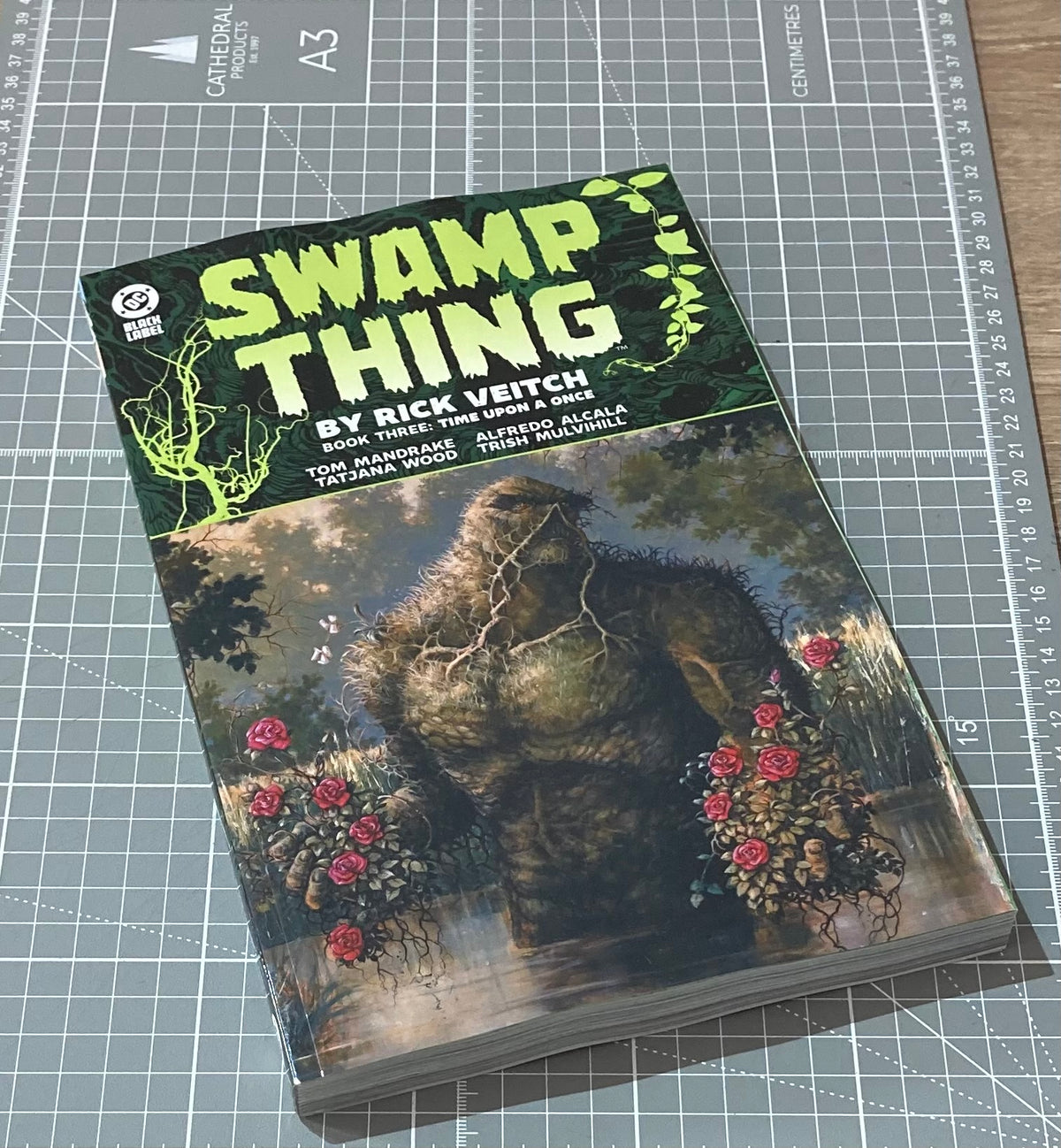 Swamp Thing by Rick Veitch. Book 3. Time Upon A Once TPB